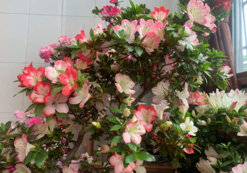 汽车眼镜成本多少钱(汽车眼镜成本分析)