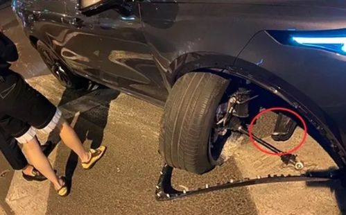 大汽车能装多少只羊粪(大汽车载重之谜，究竟能装多少只羊粪？