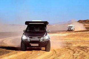 大汽车能装多少只羊粪(大汽车载重之谜，究竟能装多少只羊粪？