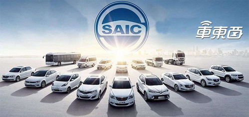 电力汽车司机寿命多少年(电力汽车司机寿命的深度探讨)