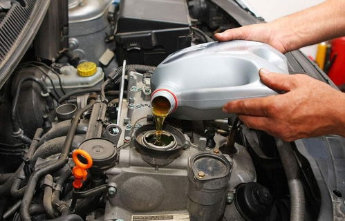汽车多少钱加机油的(汽车保养之探秘，汽车价格与加机油的合理搭配)