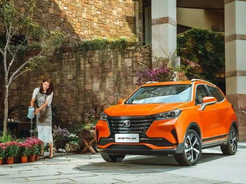 长安汽车这次拿多少分红(长安汽车分红盛宴，揭秘本次分红金额)