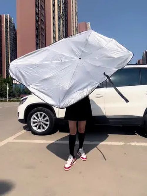 镇江汽车遮阳伞价格多少(镇江汽车遮阳伞价格解析) 镇江汽车遮阳伞价格多少(镇江汽车遮阳伞价格解析)