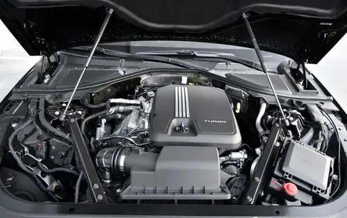 汽车里面门板多少钱(汽车内部门板价格解析)