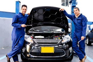 便宜汽车能开多少年啊(便宜汽车的使用寿命，性能、保养与经济性分析)