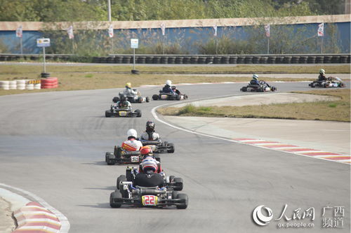 卡丁车一共有多少辆汽车(卡丁车世界，车辆数量与激情的无限可能)