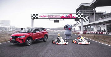 卡丁车一共有多少辆汽车(卡丁车世界，车辆数量与激情的无限可能)