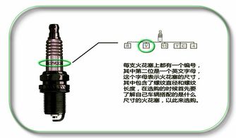 汽车火花塞直径多少厘米(汽车火花塞直径的精确测量与重要性)