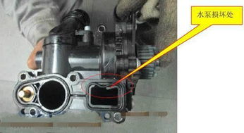 汽车水泵损坏更换多少钱(汽车水泵损坏更换费用解析) 汽车水泵损坏更换多少钱(汽车水泵损坏更换费用解析)