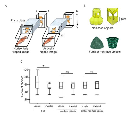 厦门汽车站有多少天(厦门汽车站，历史变迁与时间之谜)