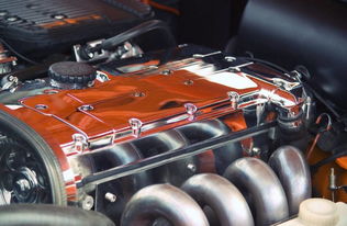 双燃料汽车喷头多少钱(双燃料汽车喷头价格解析)