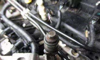 双燃料汽车喷头多少钱(双燃料汽车喷头价格解析)