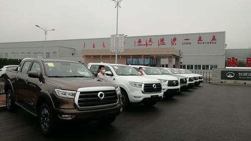 长城汽车中期工资是多少(揭秘长城汽车中期工资水平，员工收入与行业地位的双重考量)