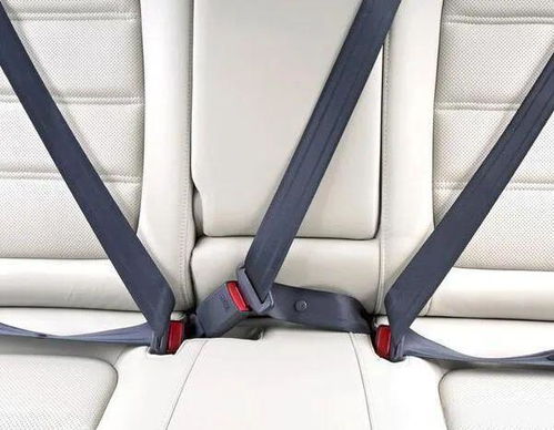 汽车安全带成本多少(汽车安全带成本解析)