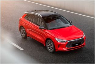 比亚迪汽车加音响多少钱(比亚迪汽车加装音响系统，价格与价值共赏)