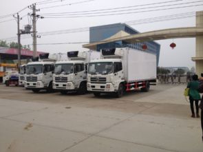 汽车漯河到新昌多少钱(汽车漯河至新昌，费用与旅程的探索)