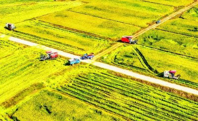 巨野汽车二队多少亩田(巨野汽车二队与农田的紧密联系)