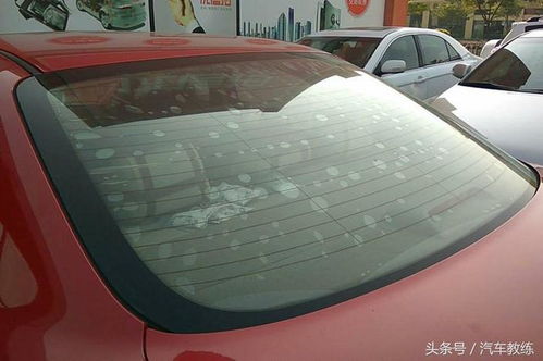 龙岩汽车窗膜多少钱(龙岩汽车窗膜价格解析与选购指南)