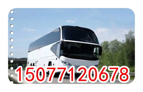 沈阳到菏泽汽车多少钱(沈阳至菏泽汽车票价及出行选择)