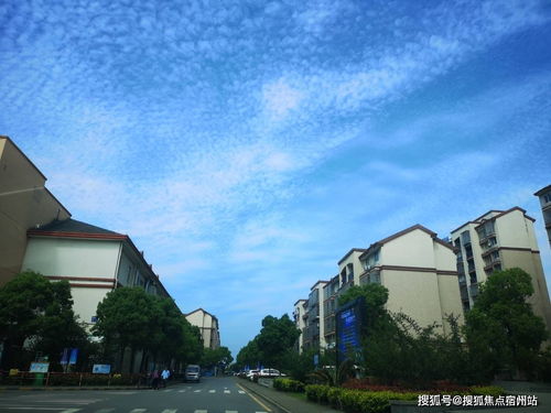 乐山小汽车年检费用多少(乐山小汽车年检费用解析)