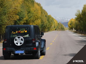 史上最高配汽车多少钱(史上最高配汽车价格揭秘)