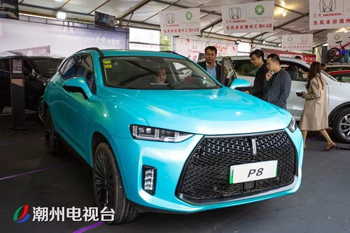 苍南到福安汽车多少钱(苍南至福安汽车票价详解)