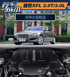 汽车首次保养要多少钱(汽车首次保养费用解析)