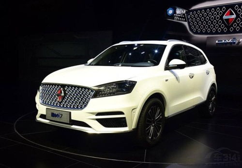 中国有多少德国汽车公司(中国德国汽车公司数量概览)