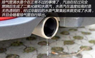 汽车排气管多少公里保养(汽车排气管保养指南，多少公里应进行保养？