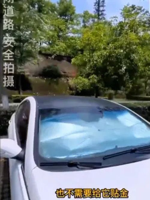 茂名汽车遮阳伞价格多少(茂名汽车遮阳伞价格解析)