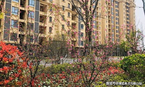 汽车上海优惠多少钱(上海汽车优惠大揭秘,究竟能省多少钱? 汽车上海优惠多少钱(上海汽车优惠大揭秘,究竟能省多少钱?