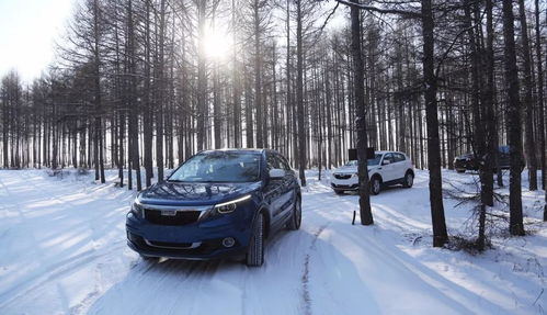 绍兴汽车保温板价格多少(绍兴汽车保温板价格分析)