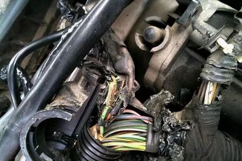 汽车大梁拉伸需要多少钱(汽车大梁拉伸修复费用解析)