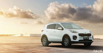 韩国汽车巨头起亚多少钱(起亚汽车，韩国汽车巨头的价格魅力)