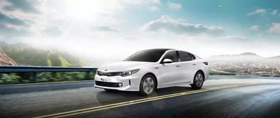 韩国汽车巨头起亚多少钱(起亚汽车，韩国汽车巨头的价格魅力)