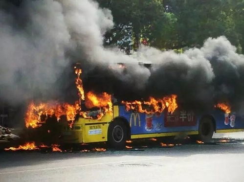 重庆每年汽车起火多少人(重庆汽车火灾频发，每年有多少人因此受困？