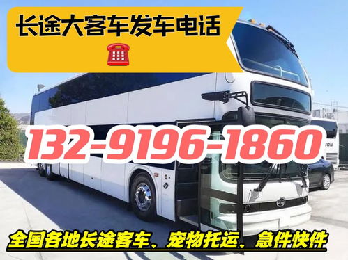 宁波民权的汽车多少钱(宁波民权汽车价格解析)