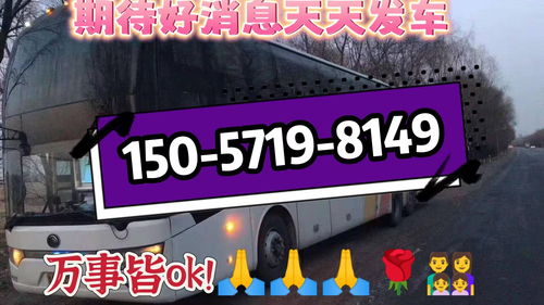 开封至郑州汽车多少钱(开封至郑州汽车票价一览)