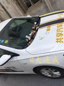 共享汽车前玻璃多少钱(共享汽车前玻璃价格解析) 共享汽车前玻璃多少钱(共享汽车前玻璃价格解析)