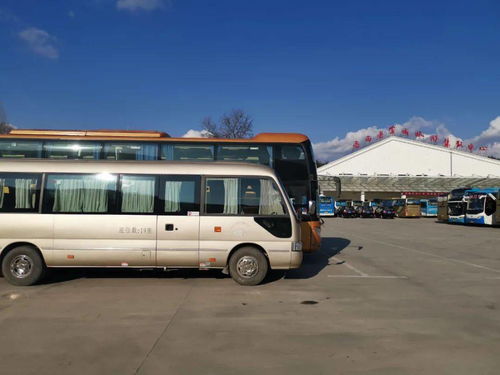 岳西至芜湖汽车多少钱(岳西至芜湖汽车票价详解)