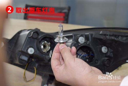 汽车近光灯线束多少钱(汽车近光灯线束价格解析)