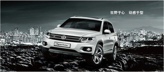 乐山到福建汽车多少钱(乐山至福建，汽车票价及旅行探索)