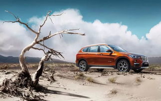 你也了个小汽车多少(你也爱上了小汽车,探索汽车文化的魅力) 你也了个小汽车多少(你也爱上了小汽车,探索汽车文化的魅力)