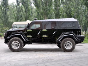 骑士十五世汽车多少钱(骑士十五世汽车，价格与尊贵之选)