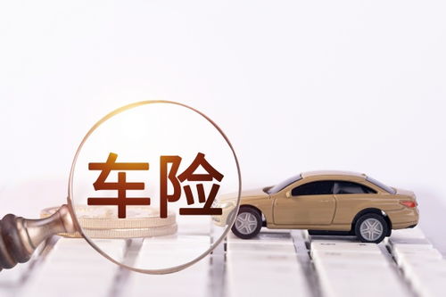 汽车换双保险多少钱(汽车换双保险,费用及价值解析) 汽车换双保险多少钱(汽车换双保险,费用及价值解析)