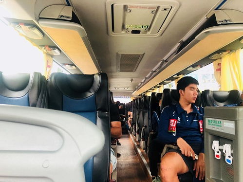 飞机能运多少汽车行李(飞机行李舱的容量,汽车行李的运输能力解析) 飞机能运多少汽车行李(飞机行李舱的容量,汽车行李的运输能力解析)