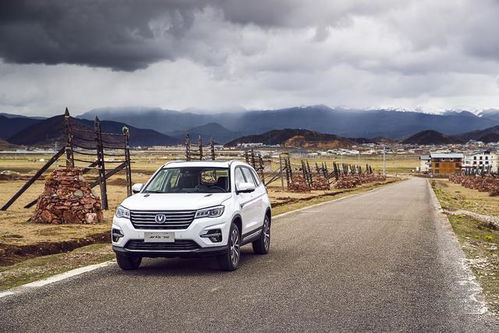 19年汽车报废期是多少(揭秘汽车报废期，19年究竟意味着什么？