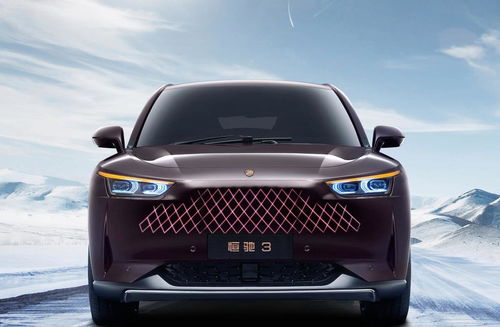 鹤壁汽车中网改装多少钱(鹤壁汽车中网改装费用解析)