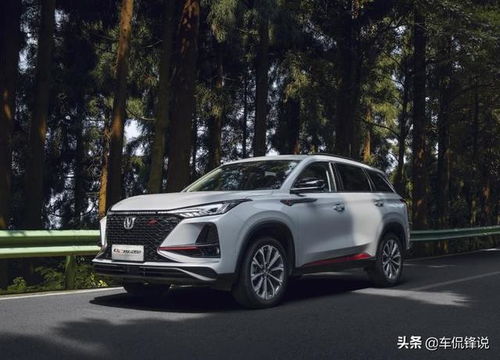 天然汽车每公里多少钱(天然汽车，每公里成本揭秘)