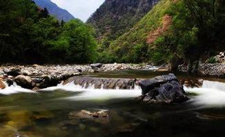汽车爬龙头山多少钱(汽车爬龙头山之旅，费用与体验)